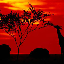 Схема вышивки «Жираф при красивом закате)»