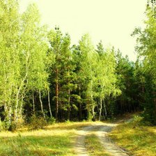Схема вышивки «Русский лес»