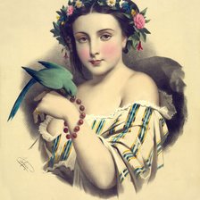 Схема вышивки «Девушка в попугаем»
