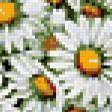 Предпросмотр схемы вышивки «полевые цветы» (№351836)