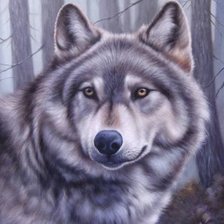 Схема вышивки «Сергей Владимирович Минаев . Картина : Волк.»