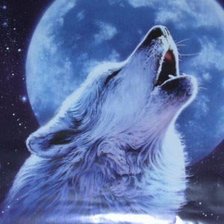 Луна и волк
