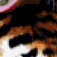 Предпросмотр схемы вышивки «Пара тигров» (№363444)