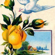 Оригинал схемы вышивки «пейзаж, роза, голубь» (№365372)