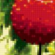 Предпросмотр схемы вышивки «ягоды» (№376653)