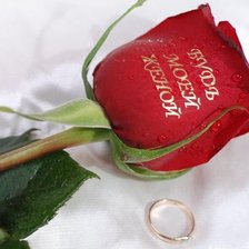 Схема вышивки «роза и кольцо»