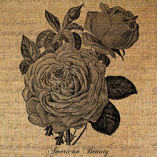 Оригинал схемы вышивки «Винтажные розы» (№381007)