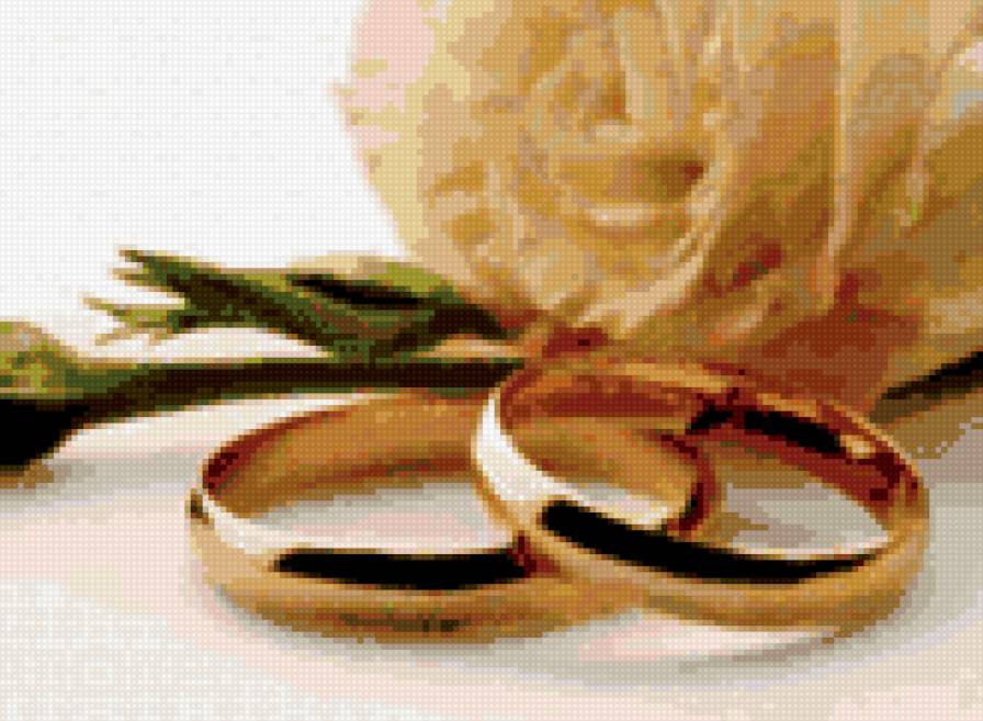 свадьба - свадьба, роза, кольца - предпросмотр