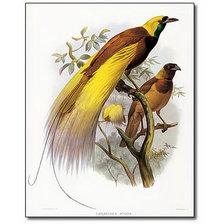 Оригинал схемы вышивки «Райские птицы» (№389239)