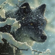 Оригинал схемы вышивки «волк» (№390761)