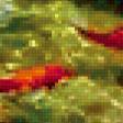 Предпросмотр схемы вышивки «Золотые рыбки» (№391395)