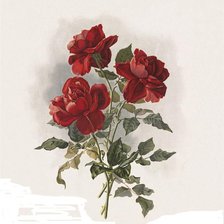 Схема вышивки «три алых розы»