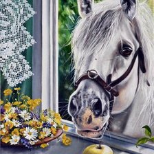 Схема вышивки «лошадь у окна»