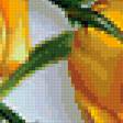 Предпросмотр схемы вышивки «желтые розы» (№394036)