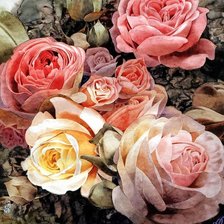 Схема вышивки «Подушка "Цветы", розы»