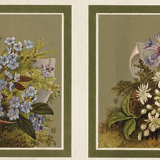 Схема вышивки «Триптих Цветы 3»