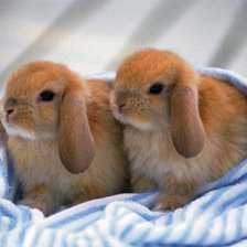 Схема вышивки «кролики»