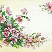 Схема вышивки «нежные цветы»