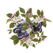 Оригинал схемы вышивки «бабочки на цветах» (№400280)