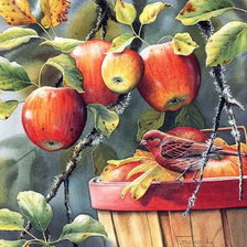 Схема вышивки «Румяные яблоки»
