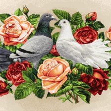 Оригинал схемы вышивки «голуби и розы» (№400588)