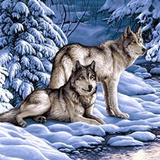 Оригинал схемы вышивки «волки на снегу» (№401704)