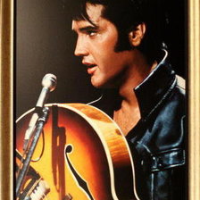 Оригинал схемы вышивки «Elvis» (№405783)