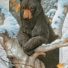 Оригинал схемы вышивки «Медведь» (№406412)