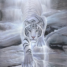 Схема вышивки «тигр из водопада»