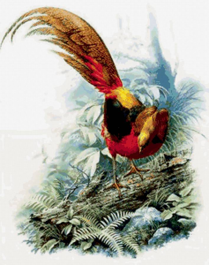 Серия "Птицы" - природа, растение, птицы - предпросмотр