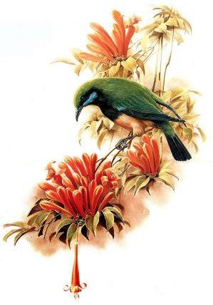 Серия "Птицы" - растение, птицы, природа - оригинал