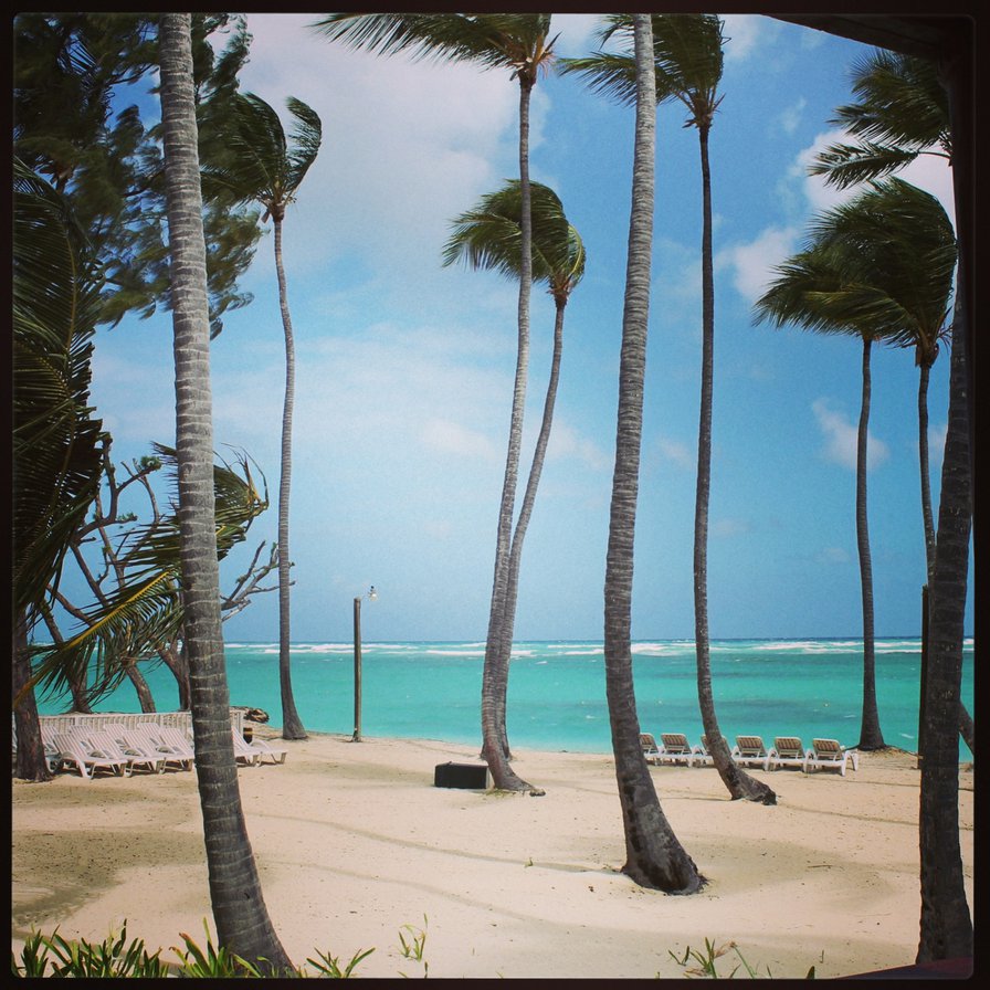 Доминикана - берег, море, рай, пляж - оригинал