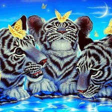 Схема вышивки «Забавные тигрята»
