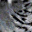 Предпросмотр схемы вышивки «Тигр 2» (№414872)