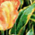 Предпросмотр схемы вышивки «тюльпаны» (№415708)