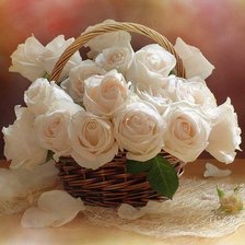корзина белых роз