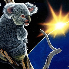 Схема вышивки «коалла»