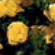 Предпросмотр схемы вышивки «Желтые розы» (№418069)