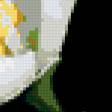 Предпросмотр схемы вышивки «Нежные белые цветы» (№418093)
