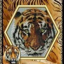 Схема вышивки «морда тигра»