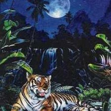 Схема вышивки «тигр в ночи»