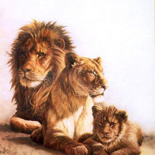 Оригинал схемы вышивки «lion» (№427791)