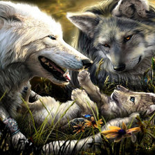 Схема вышивки «семья волков»