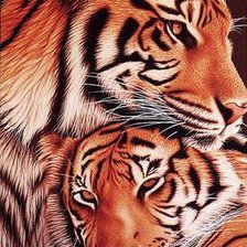 Оригинал схемы вышивки «Верность тигра» (№428172)