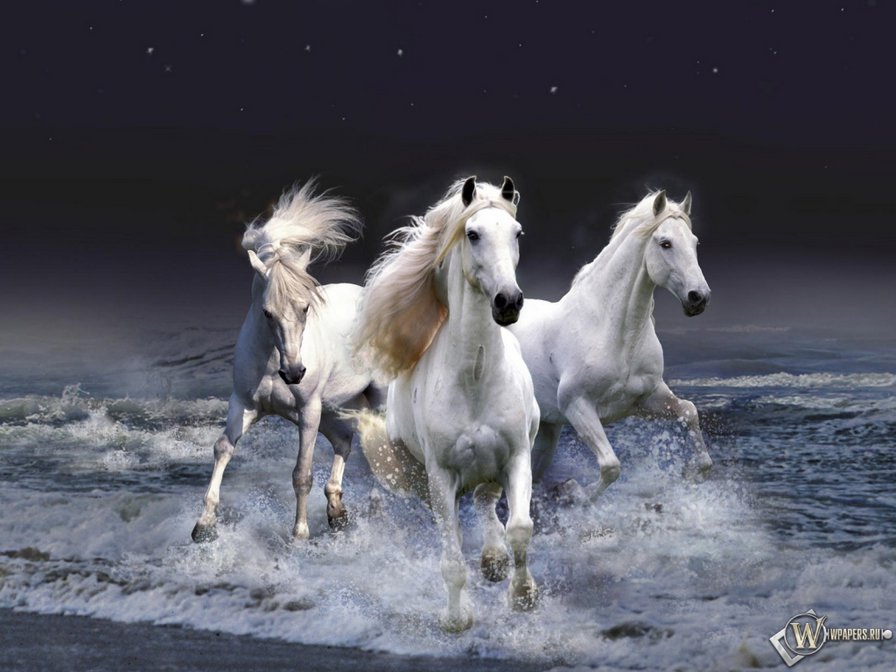 белые лошади бегущие по волнам - белые лошади схема вышивки - оригинал