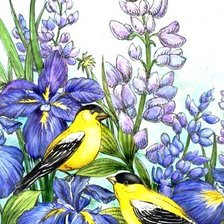 Оригинал схемы вышивки «Птицы и цветы» (№436230)