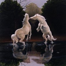 танец лошадей