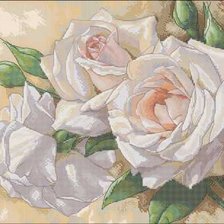 Схема вышивки «нежные белые розы»