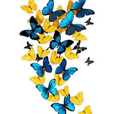 Оригинал схемы вышивки «Бабочки» (№444837)