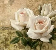 Оригинал схемы вышивки «белые розы» (№447051)